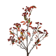 GloboStar® Artificial Garden BROWN BERRIES FRUIT BRANCH 21444 Τεχνητό Διακοσμητικό Κλαδί Κάφε Γκί Y94cm