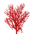 GloboStar® Artificial Garden RED CORAL BRANCH 21468 Τεχνητό Διακοσμητικό Κλαδί Κόκκινο Koράλι Y35cm