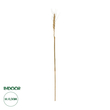 GloboStar® Artificial Garden REAL DRIED WHEAT GRASS 21488 Τεχνητό Διακοσμητικό Κλαδί Σιταριού Y30cm