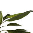 GloboStar® Artificial Garden BANANA TREE 21502 Τεχνητό Διακοσμητικό Δέντρο Μπανανιάς Υ500cm