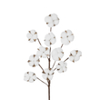 GloboStar® Artificial Garden COTTON BRANCH 20569 Τεχνητό Διακοσμητικό Κλαδί Βαμβάκι Μ30 x Π6 x Υ80 cm