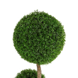 GloboStar® Artificial Garden BUXUS TREE 21111 Τεχνητό Διακοσμητικό Δέντρο Buxus Μ65 x Π60 x Υ200cm