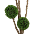 GloboStar® Artificial Garden BUXUS TREE 21111 Τεχνητό Διακοσμητικό Δέντρο Buxus Μ65 x Π60 x Υ200cm