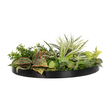 GloboStar® Artificial Garden VARIOUS PLANTS ROUND WALL DISC 20691 Τεχνητό Διακοσμητικό Στρογγυλό Πάνελ Φυλλωσιάς - Κάθετος Κήπος Μιξ Μ60 x Π60 x Υ20cm