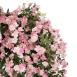GloboStar® Artificial Garden ROSES TREE 21068 Τεχνητό Διακοσμητικό Δέντρο Τριανταφυλλιά Μ110 x Π110 x Υ240cm