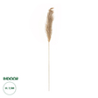 GloboStar® Artificial Garden PAMPAS GRASS 21217 Αποξηραμένο Διακοσμητικό Γρασίδι Πάμπας Μ10 x Π10 x Υ150cm