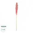 GloboStar® Artificial Garden PAMPAS GRASS 21218 Αποξηραμένο Διακοσμητικό Γρασίδι Πάμπας Μ10 x Π10 x Υ150cm