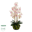 GloboStar® Artificial Garden BUTTERFLY ORCHID BONSAI 21400 Τεχνητό Διακοσμητικό Φυτό Ορχιδέα Μ34 x Π27 x Υ65cm