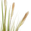 GloboStar® Artificial Garden PAMPAS GRASS 21478 Τεχνητό Διακοσμητικό Φυτό Μπεζ & Πράσινο Πάμπας Μ90 x Π40 x Υ150cm