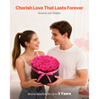 VEVOR Forever Flowers, 27 Διατηρημένα Τριαντάφυλλα σε Κουτί, Αιώνια Λουλούδια Αθάνατη Μπουκέτο Δώρο Γενεθλίων για Παράδοση Prime Women, Σύζυγος, Μητέρες, Επέτειος, Ημέρα του Αγίου Βαλεντίνου, Χριστούγεννα, Κόκκινο Τριαντάφυλλο