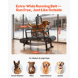 Διάδρομος Σκύλων VEVOR για Μεσαίους/Μεγάλους Σκύλους, Μηχανή Τρεξίματος για Κατοικίδια με Ρυθμιζόμενη Ρύθμιση, Φρένο & Τροχοί, Αναβάθμιση Πλαστικής Ζώνης για να Διατηρείτε τα Κατοικίδια Ενεργά & σε Γυμναστική, Έως 199,6 κιλά, Εύκολο στη Μετακίνηση