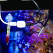 3800238072087 | Shelly Temp. Sensor DS18B20 3.5mm jack - EAN 3800238072087