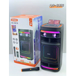 Φορητό ηχείο subwoofer με μικρόφωνο Karaoke - QS-6816 - 260455