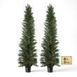 Τεχνητό Κέδρος VEVOR Topiary 2438mm Σετ 2 τεμαχίων με διακοσμητικά φυτά σε γλάστρα, πολυτελή ψεύτικα δέντρα PE, ψεύτικο πράσινο φυτό εσωτερικού και εξωτερικού χώρου όλο το χρόνο για μπροστινή πόρτα, είσοδο, βεράντα, μπαλκόνι, βεράντα, κήπο