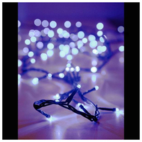 ΣΕΙΡΑ 100 LED ΜΕ ΠΡΟΓΡΑΜΜΑ, ΠΡΑΣΙΝΟ ΚΑΛΩΔΙΟ, ΛΕΥΚΟ LED ΑΝΑ 5cm.