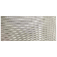 ΣΙΤΑ ΑΛΟΥΜΙΝΙΟΥ 30x100cm ΤΡΥΠΑ 0,3x0,2cm ΠΑΧΟΣ 0,1cm - 1 ΤΕΜ.