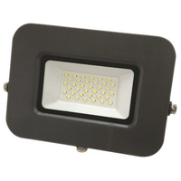 ΠΡΟΒΟΛΕΑΣ LED 30W SMD ΒΑΣΗ 360° ΓΡΑΦΙΤΗΣ IP65 3000K PLUS