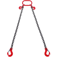 VEVOR 5/16&quot; x 6&#039; Chain Sling 2 Legs G80 Lifting Chain with Grab Hooks 6600 lbs