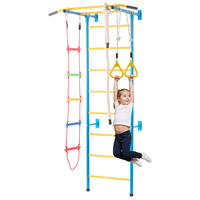 VEVOR Wall Gym for Kids 5 in 1 Steel Indoor Kids Gym for Exercise Climbing Games