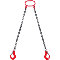 VEVOR 5/16&quot; x 5&#039; Chain Sling 2 Legs G80 Lifting Chain with Grab Hooks 6600 lbs