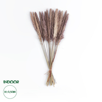 GloboStar® Artificial Garden REAL DRIED BROWN PAMPAS GRASS BUNCH 21215 Αποξηραμένο Διακοσμητικό Μπουκέτο Pampas Kάφε Y50cm GloboStar® Artificial Garden REAL DRIED BROWN PAMPAS GRASS BUNCH 21215 Αποξηραμένο Διακοσμητικό Μπουκέτο Pampas Kάφε Y50cm