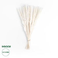 GloboStar® Artificial Garden REAL DRIED BEIGE PAMPAS GRASS BUNCH 21216 Αποξηραμένο Διακοσμητικό Μπουκέτο Pampas Μπέζ Y50cm GloboStar® Artificial Garden REAL DRIED BEIGE PAMPAS GRASS BUNCH 21216 Αποξηραμένο Διακοσμητικό Μπουκέτο Pampas Μπέζ Y50cm