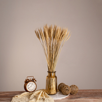 GloboStar® BARLEY 36551 Αποξηραμένο Φυτό Κριθάρι - Μπουκέτο Διακοσμητικών Κλαδιών Μπεζ Υ60cm GloboStar® BARLEY 36551 Αποξηραμένο Φυτό Κριθάρι - Μπουκέτο Διακοσμητικών Κλαδιών Μπεζ Υ60cm
