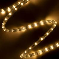 GloboStar® 70602 Φωτοσωλήνας LED DIODE 1m 3.9W/m 36LED/m 156lm/m 360° DC 230V Αδιάβροχος IP68 Θερμό Λευκό 3000K Dimmable GloboStar® 70602 Φωτοσωλήνας LED DIODE 1m 3.9W/m 36LED/m 156lm/m 360° DC 230V Αδιάβροχος IP68 Θερμό Λευκό 3000K Dimmable