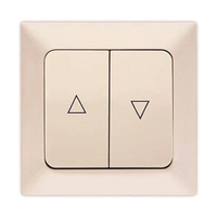 ΜΠΟΥΤΟΝ ΡΟΛΛΩΝ ΜΠΕΖ