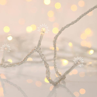 ΣΕΙΡΑ, 700 FLASH LED 5mm, 31V ΜΕΤΑΣΧΗΜΑΤΙΣΤΗ, 4 ΕΠΕΚΤΑΣΕΙΣ ΩΣ 2 ΣΕΤ, ΔΙΑΦΑΝΟ PVC ΚΑΛΩΔΙΟ, ΘΕΡΜΑ ΛΕΥΚΑ LED, ANA 10cm, ΠΡΟΕΚΤΑΣΗ ΠΑΡΟΧΗΣ 3m, ΙΡ44