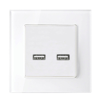 DOUBLE USB SOCKET GLASS FRAME WHITE