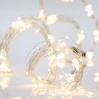 ΧΤΑΠΟΔΙ, 400 MINI LED, 4,5V ΜΕΤΑΣΧΗΜΑΤΙΣΤΗ, ΑΣΗΜΙ ΧΑΛΚINO KAΛΩΔΙΟ, ΘΕΡΜΟ ΛΕΥΚΟ LED, ANA 10cm, (16 LINES X 25LED), ΠΡΟΕΚΤΑΣΗ ΠΑΡΟΧΗΣ 5m, ΙΡ44