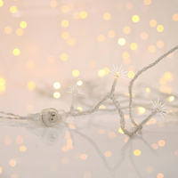 ΣΕΙΡΑ, 300 FLASH LED 5mm, 31V ΜΕΤΑΣΧΗΜΑΤΙΣΤΗ, 4 ΕΠΕΚΤΑΣΕΙΣ ΩΣ 3 ΣΕΤ, ΔΙΑΦΑΝΟ PVC ΚΑΛΩΔΙΟ, ΘΕΡΜΟ ΛΕΥΚΟ LED, ANA 10cm, ΠΡΟΕΚΤΑΣΗ ΠΑΡΟΧΗΣ 3m, ΙΡ44