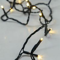 ΣΕΙΡΑ, 20 LED 5mm, ΜΠΑΤΑΡΙΑΣ 3xAA, ΧΡΟΝΟΔΙΑΚΟΠΤΗ, ΠΡΑΣΙΝΟ PVC ΚΑΛΩΔΙΟ, ΘΕΡΜΟ ΛΕΥΚΟ LED, ΑΝΑ 10cm, ΠΡΟΕΚΤΑΣΗ ΠΑΡΟΧΗΣ 50cm, IP20