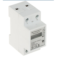 Tuya Smart WiFi Switch Electricity Meter - E01T