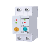 Tuya Smart WiFi Din Rail Circuit Breaker Smart Timer Switch Replay with Leakage Protection 2P - WDC2T