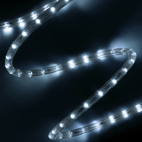 GLOBOSTAR® LIGHTUBE 70600 Φωτοσωλήνας LED 3.9W/m 195lm/m 360° DC 220-240V Αδιάβροχο IP65 36 x Diode Chip/m Ψυχρό Λευκό 6000K Dimmable - Μ100 x Π1.2 x Υ1.2cm - 2 Χρόνια Εγγύηση