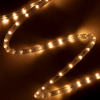 GLOBOSTAR® LIGHTUBE 70603 Φωτοσωλήνας LED 3.9W/m 137lm/m 360° DC 220-240V Αδιάβροχο IP65 36 x Diode Chip/m Ultra Θερμό Λευκό 2200K Dimmable - Μ100 x Π1.2 x Υ1.2cm - 2 Χρόνια Εγγύηση