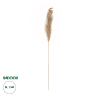 GloboStar® Artificial Garden PAMPAS GRASS 21217 Αποξηραμένο Διακοσμητικό Γρασίδι Πάμπας Μ10 x Π10 x Υ150cm