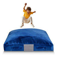 VEVOR Crash Pad, Παιδικό μαξιλάρι αισθήσεων 1500 x 1500 mm με μπλοκ αφρού και πλενόμενο κάλυμμα, Γιγαντιαίο μαξιλάρι μεγάλης ζώνης προσγείωσης από μαλακό αφρό, Εξοπλισμός αισθητηριακού δωματίου για παιδιά που πηδούν, χαλαρώνουν, παίζουν
