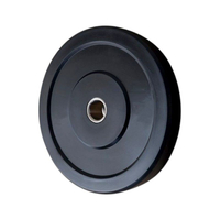 Δίσκος βάρους γυμναστικής για μπάρα - 80128 - 25kg - 150172