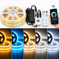Σετ Ταινία LED COB 10W/m 24V 480LED/m 10m με App και Controller – 5 Χρώματα Χρυσό, Ice Blue, Θερμό, Φυσικό & Ψυχρό Λευκό