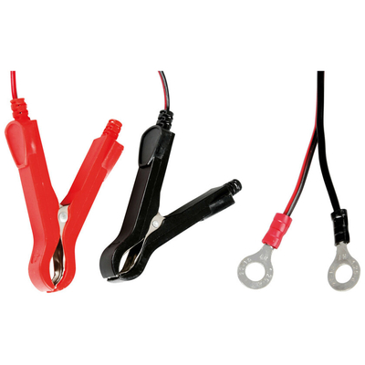 ΦΟΡΤΙΣΤΗΣ/ΣΥΝΤΗΡΗΤΗΣ ΜΠΑΤΑΡΙΑΣ AMPEROMATIC BIKE 6/12V 1A 2>20Ah GEL/STD/SMF/AGM/EFB/LiFePo4 LAMPA - 1 ΤΕΜ