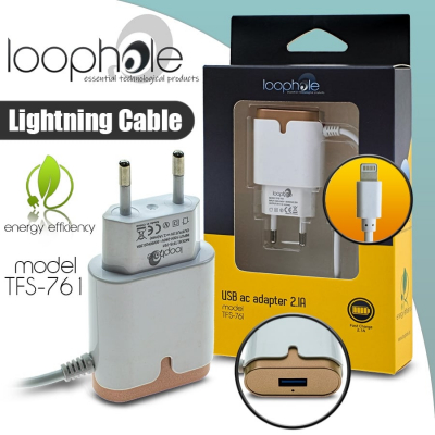 LOOPHOLE AC Adapter Lightning GOLD