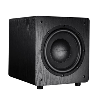 SUBWOOFER-HOMETHEATER SW-100
