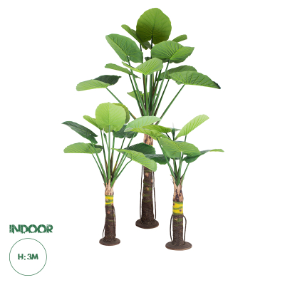 GloboStar® Artificial Garden TARO SET 20089 Τεχνητό Διακοσμητικό Σετ Φυτών Κολοκασία A:Υ300cm B:Υ210cm C:Υ160cm