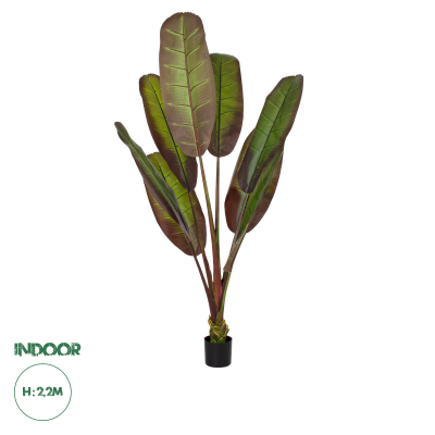 GloboStar® Artificial Garden BLOODY BANANA TREE 20119 Τεχνητό Διακοσμητικό Φυτό Αιματόφυλλη Μπανανιά - Μπανανόδεντρο Υ220cm
