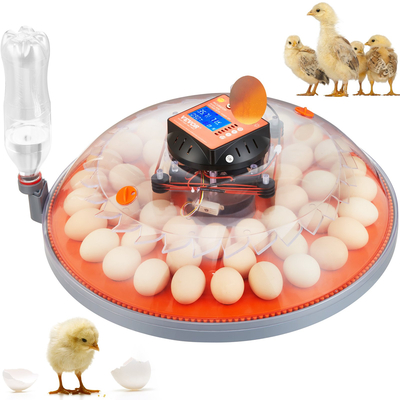 Εκκολαπτήρια αυγών VEVOR για επώαση αυγών Auto Egg Turning 48 Eggs
