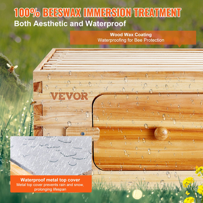 VEVOR Bee Hive 20 Frame Bee Hives Starter Kit, Ξύλο κέδρου με επικάλυψη με κερί μέλισσας, 1 Deep + 1 Medium Bee Boxes Kit Langstroth Beehive, Διαφανή ακρυλικά παράθυρα με βάση για αρχάριους επαγγελματίες μελισσοκόμους