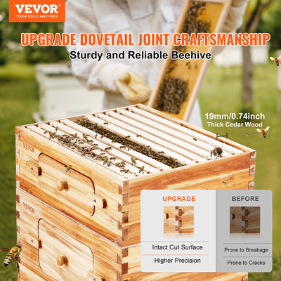 VEVOR Bee Hive 40 Frame Bee Hives Starter Kit, Beeswax Coated Wood Cedar, 2 Deep + 2 Medium Bee Boxes Langstroth Beehive Kit, Διαφανή ακρυλικά παράθυρα με βάση για αρχάριους επαγγελματίες μελισσοκόμους